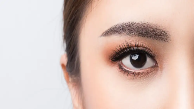 Pesona dan Keindahan Bulu Mata Eyelash: Rahasia Tampilan Mata